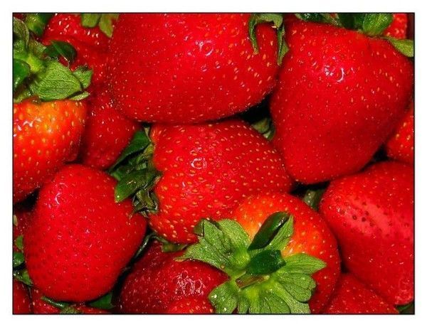Fruits ... fraises