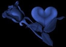 Bleu ... rose et coeur