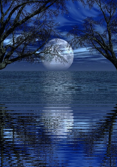 nuit ... lune et rêveries