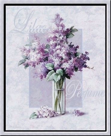 Joli bouquet de lilas