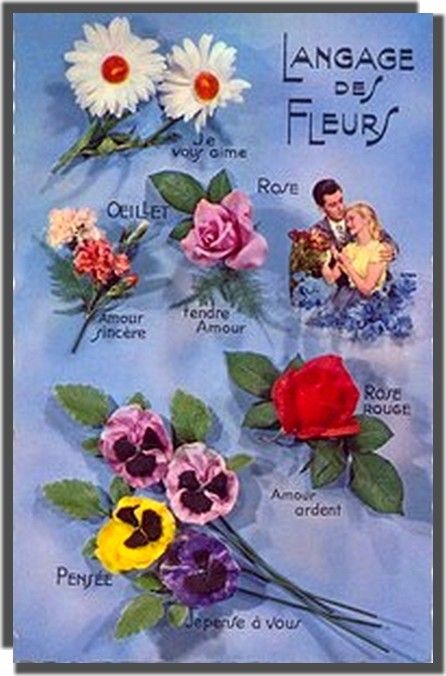 Fleur .. le langage des fleurs