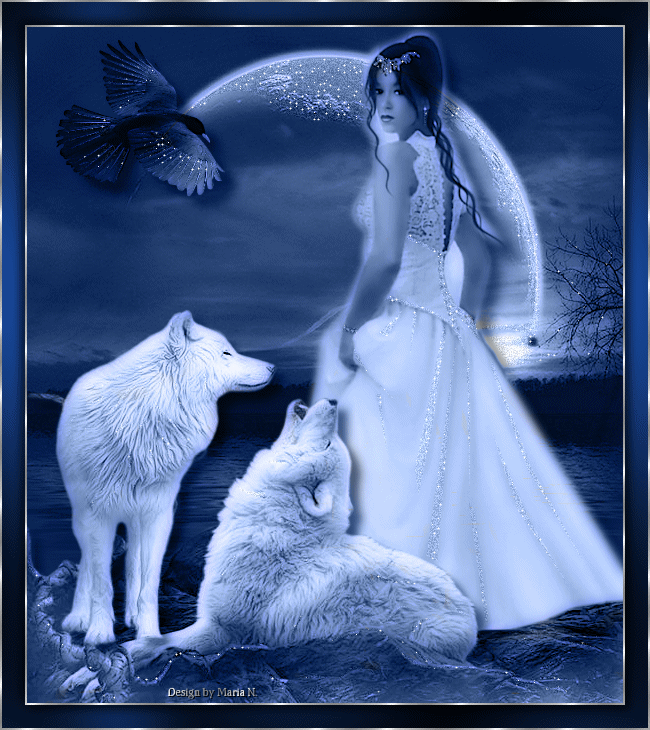 Loups ...Belle image