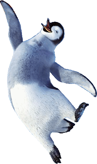 pingouin 