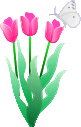 mini fleur ... Tulipes