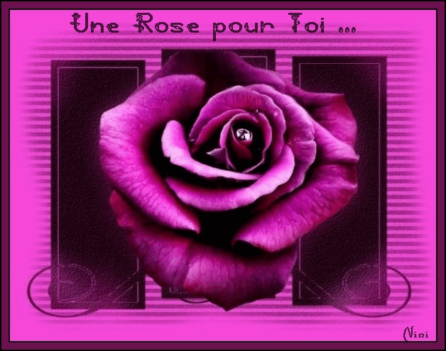 Fleurs ... Rose pour Toi ...