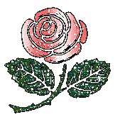Fleur ... mini  ... rose rose