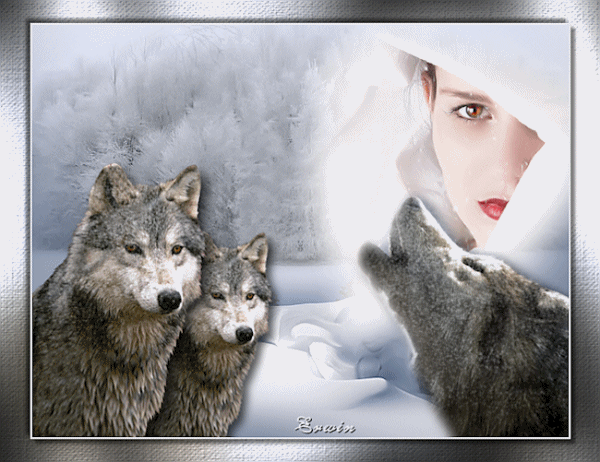 Loups ... Belle image