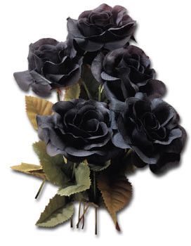 Noir comme ... bouquet
