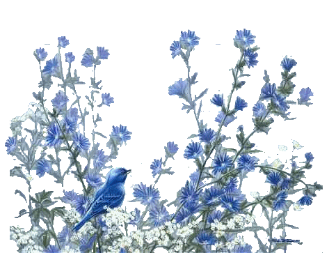 Bleu ... fleur et oiseau