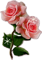 mini fleur ... rose