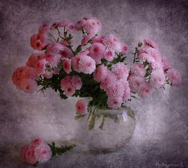 Rose  ... joli bouquet