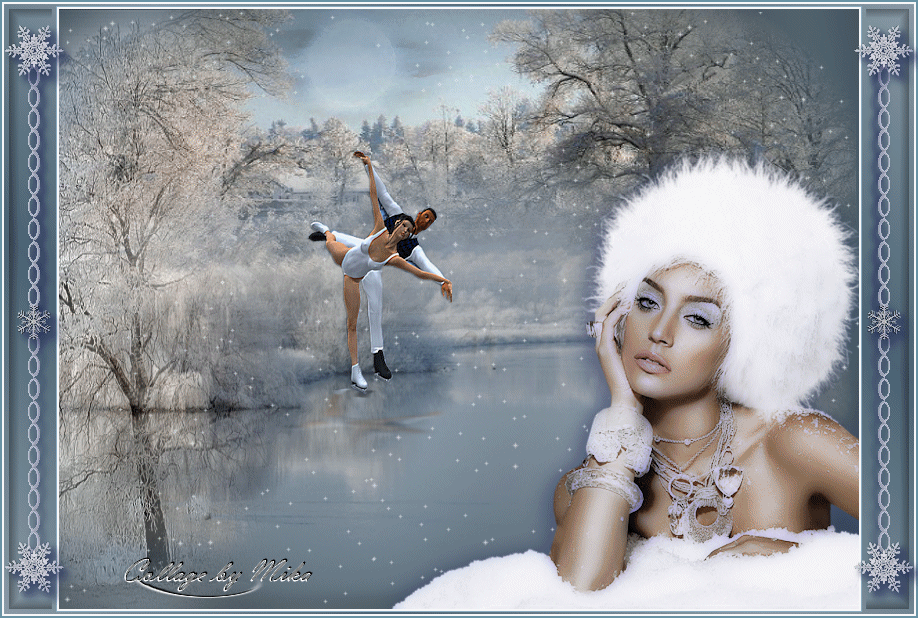 Hiver  ... Belle image  .. Patineurs
