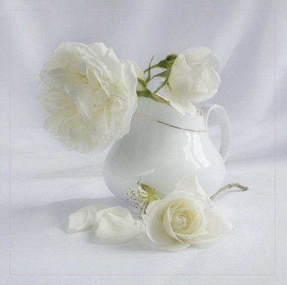 Blanc  ... joli vase fleuri
