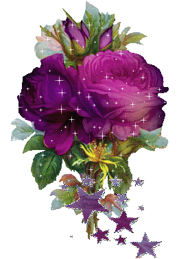 Mauve, violet comme ....  jolies roses