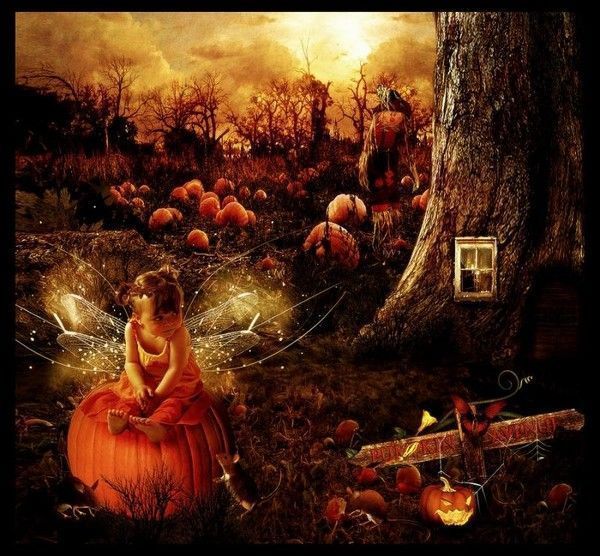 Halloween ... Belle image