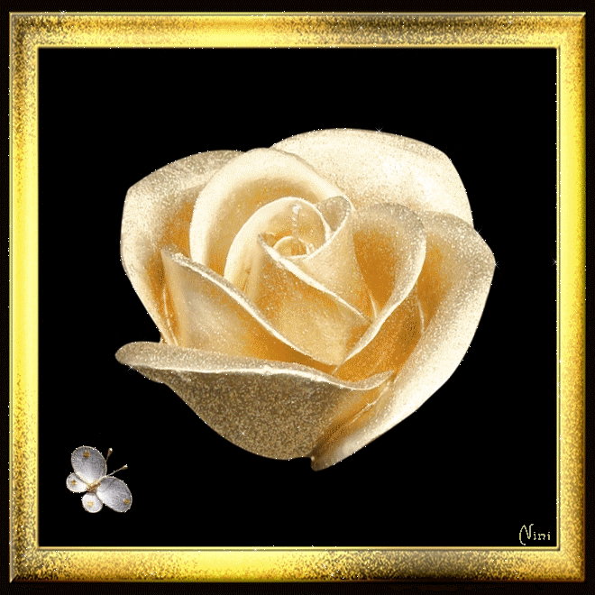 Fleur  ... Rose  .. or