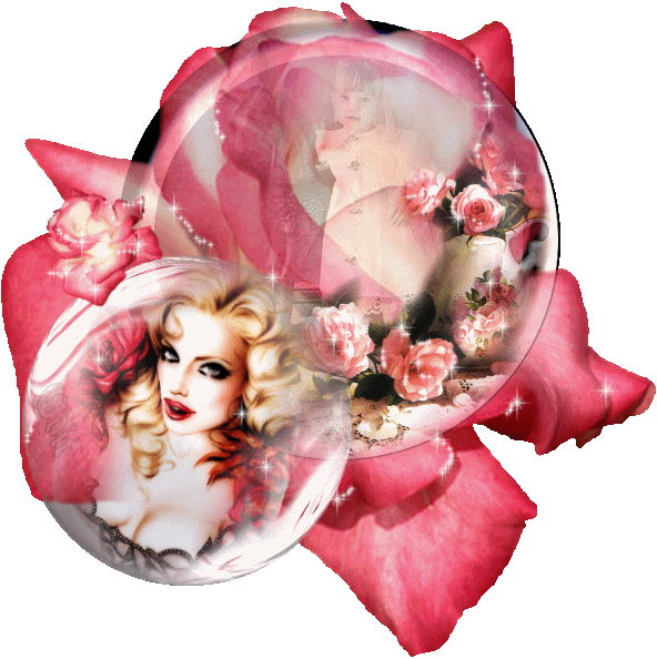 Rose ... Belle image