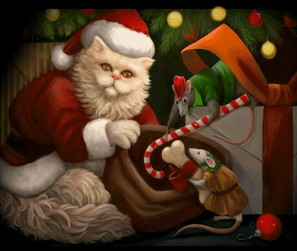 Chat ... Noël  ... Belle image
