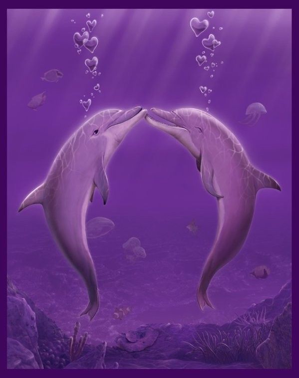 Cétacés ... dauphins