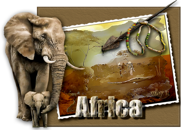 Afrique ... Belle image