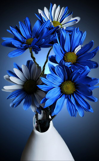 Bleu ...  fleurs 