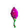Fleur ... mini rose 