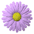 mini fleur