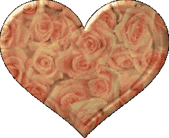 Rose ... joli coeur