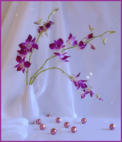 Une orchidée pour Yvonne  ;-)))