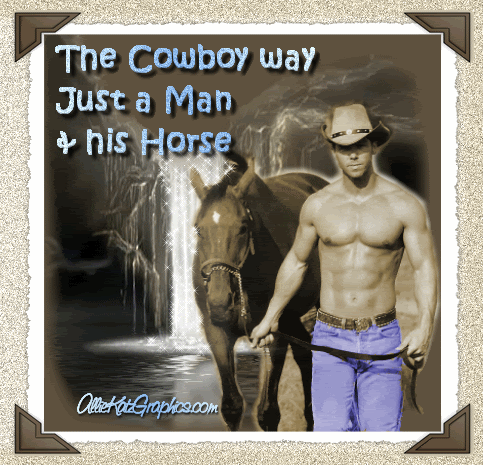 Chevaux  ... et Cowboy