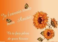 Orange ... Amitié