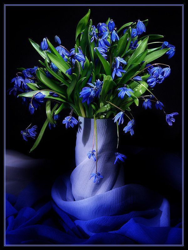 Bleu  ... joli bouquet pour Vous  ..