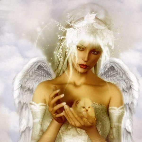 Anges ...
