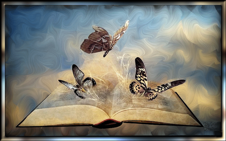 Papillon et livre 