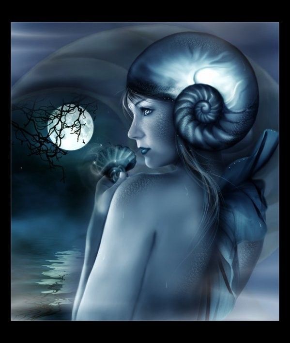 Nuit ... Lune .. rêveries