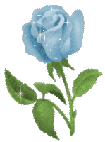 Fleur ... mini  ... rose bleue