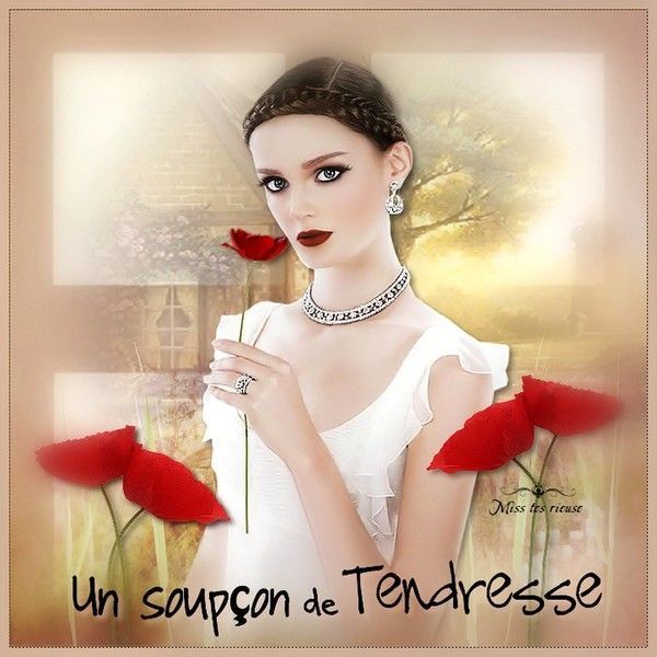 Coquelicot ... Belle image