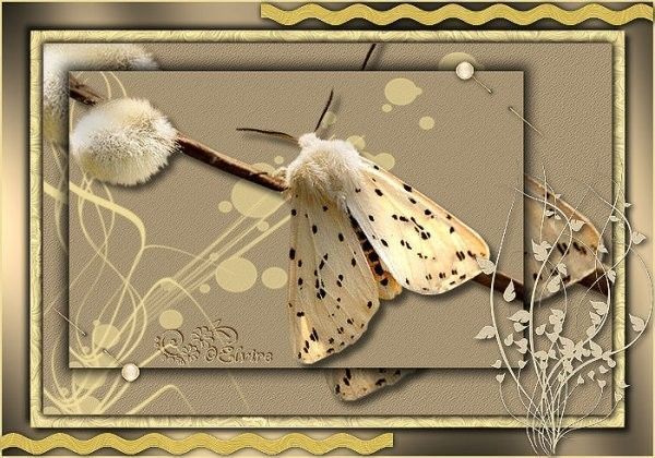 Or ... belle image  .. Papillon