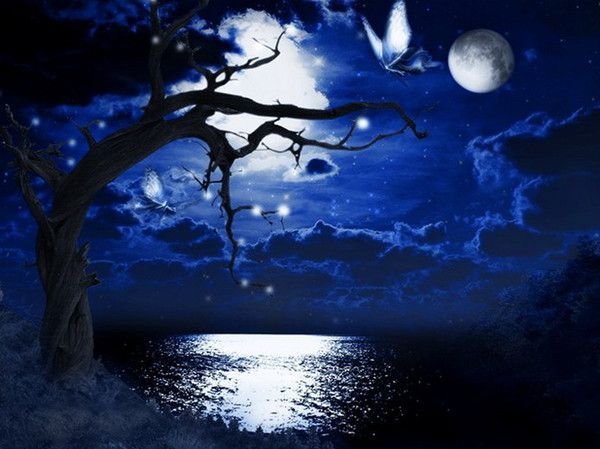 Nuit ... Lune  ... rêverie