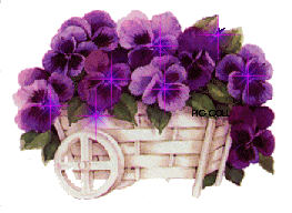 couleur mauve violet
