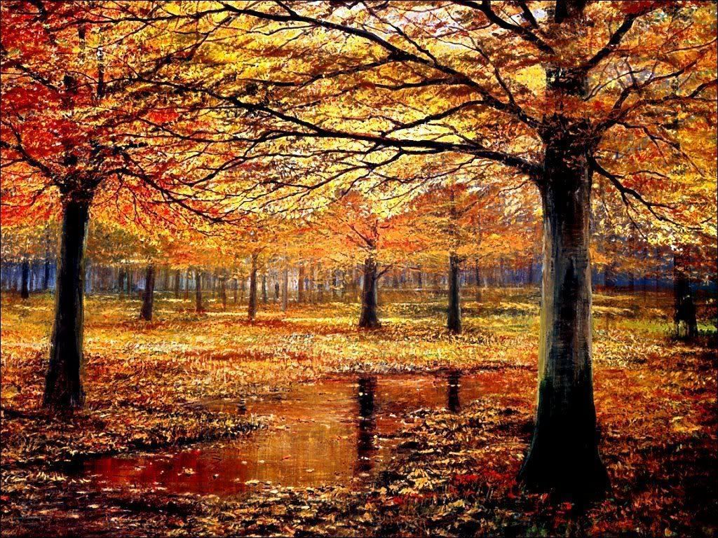 Les plus belles photos d'automne